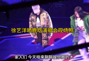 徐艺洋晒鹿晗演唱会现场照：追星天花板与娱乐圈的温情互动